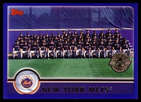 648 Mets Team